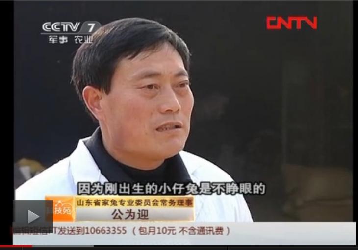 山東省家兔委員會常務(wù)理事—公為迎
